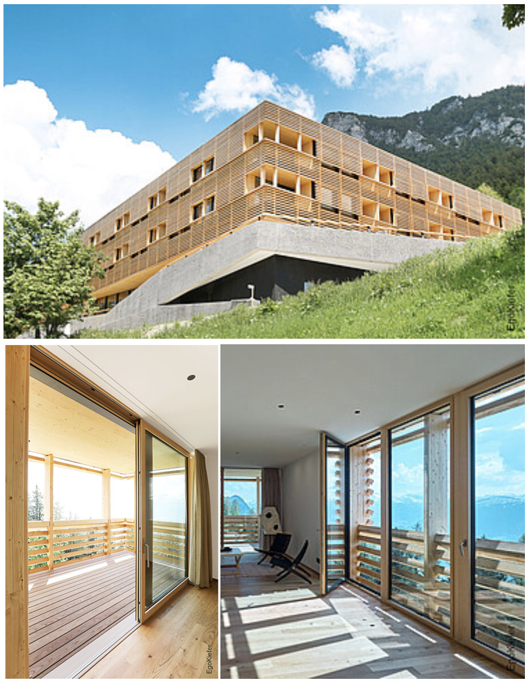 Fachklinik fuer Psychiatrie Clinicum Alpinum FL Triesenberg